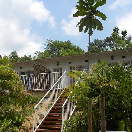 Bush Baby Glen Villa Hazyview Room photo