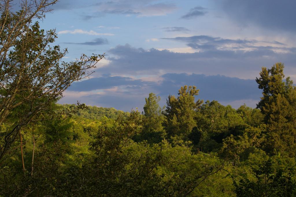 Bush Baby Glen Villa Hazyview Room photo
