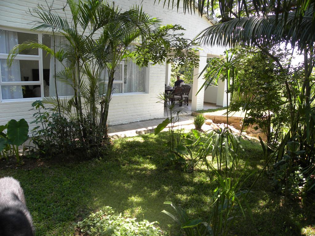 Bush Baby Glen Villa Hazyview Exterior photo